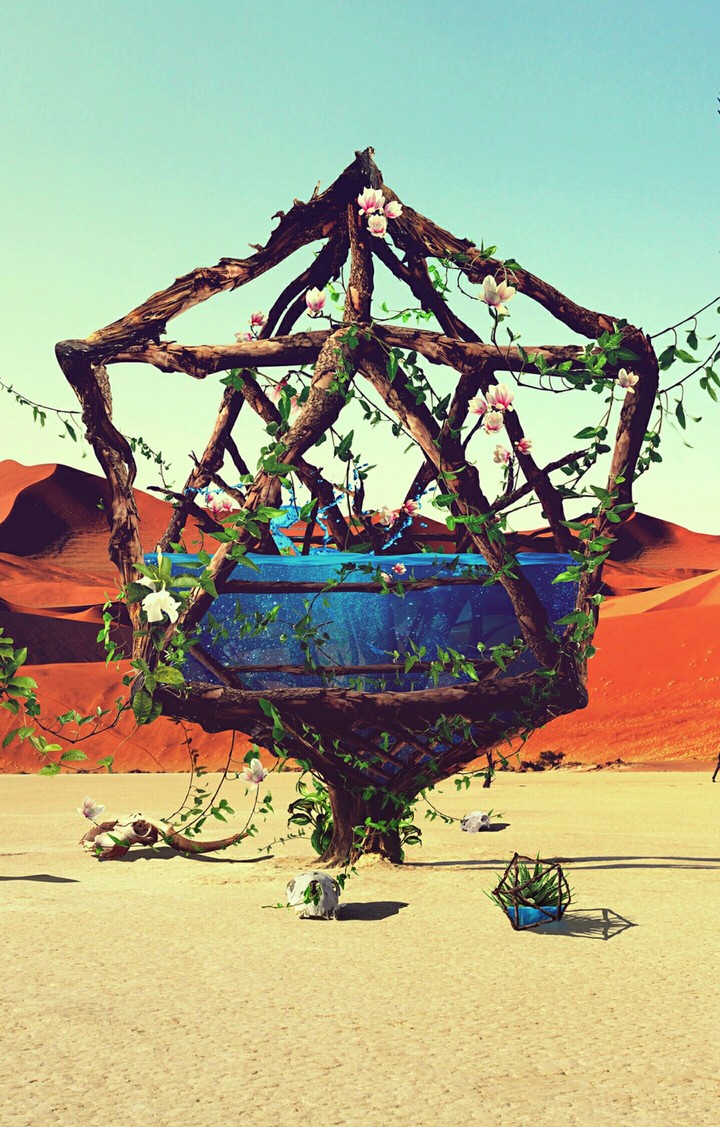 Desert Oasis