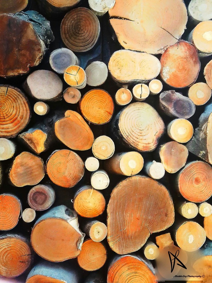abstract wood