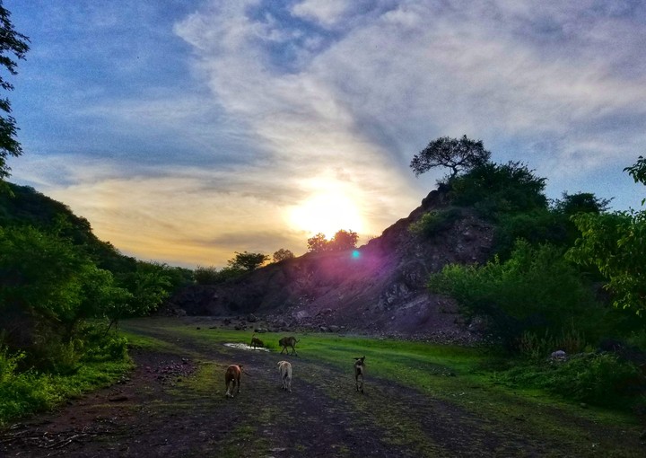 EXPEDICIÓN EN SAN LORENZO, GRO.