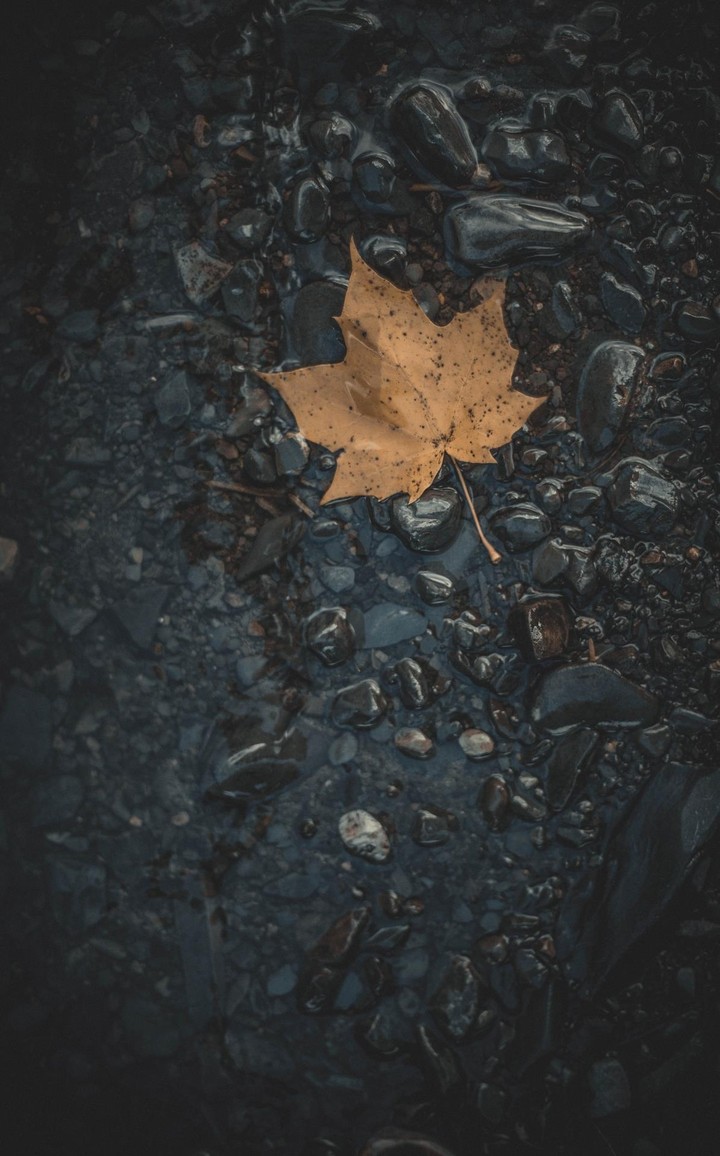 wallpaper