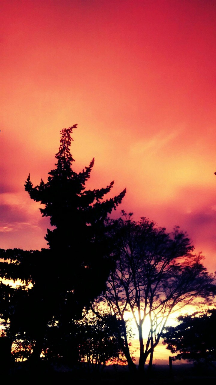 PUESTA DE SOL