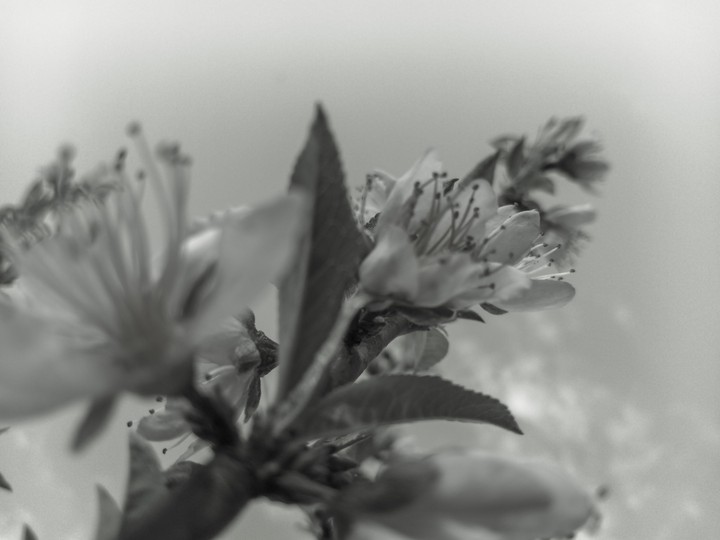 dark walpaper