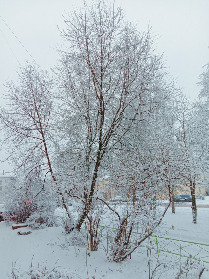 Красота зимы