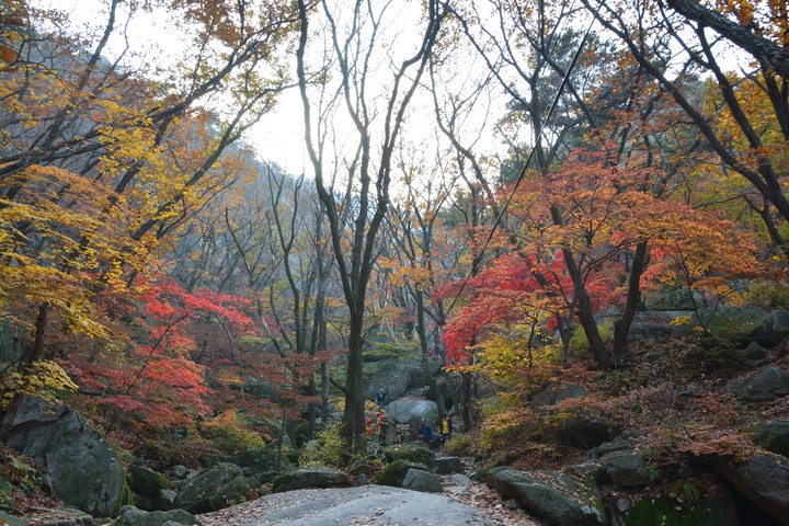 풍경이미지