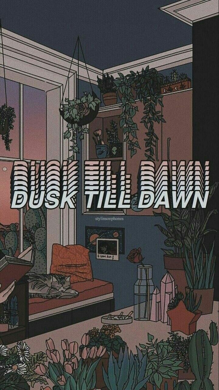 dusk till down _"zayn"_