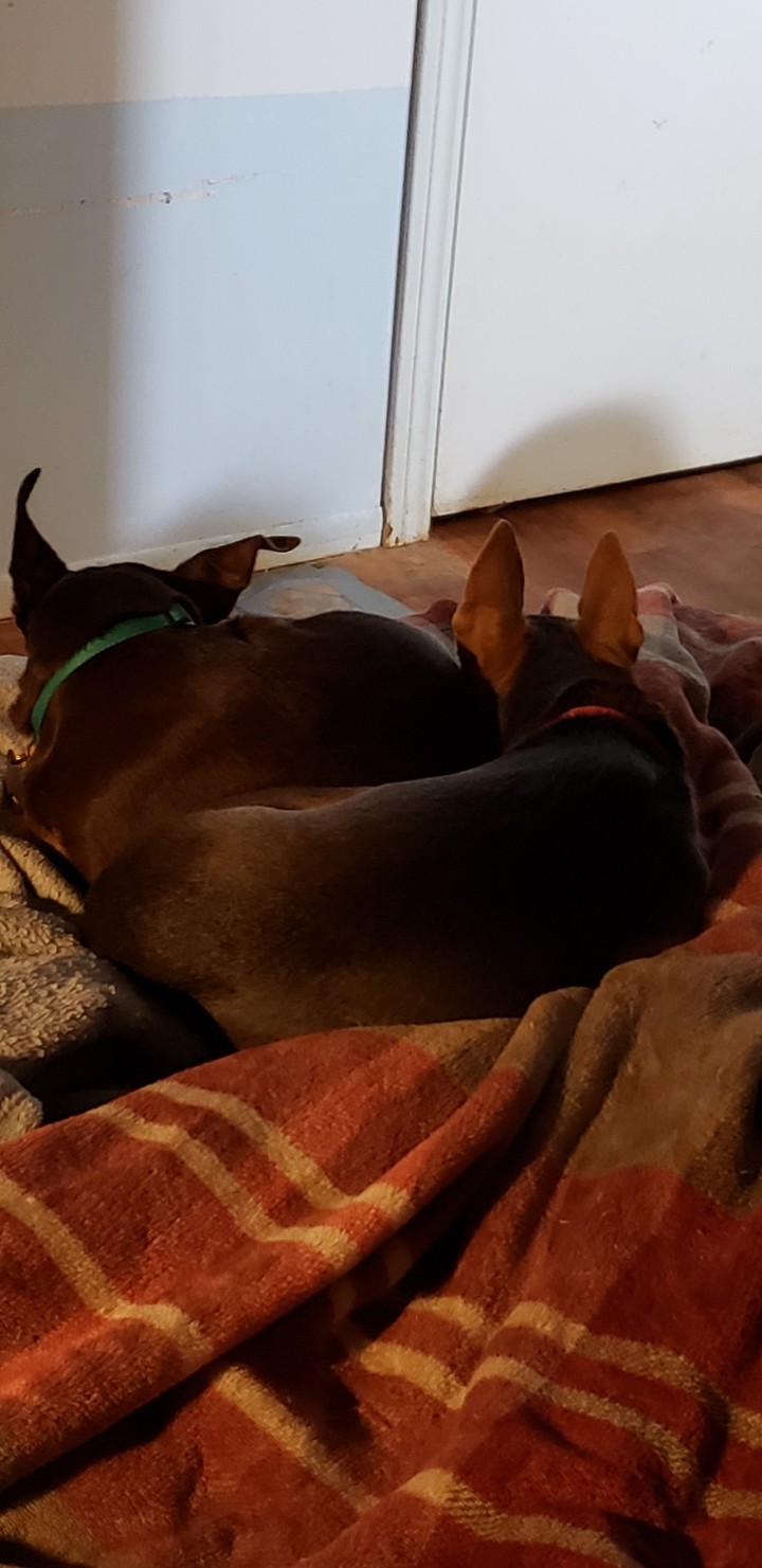 Frenemies