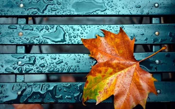 autumn