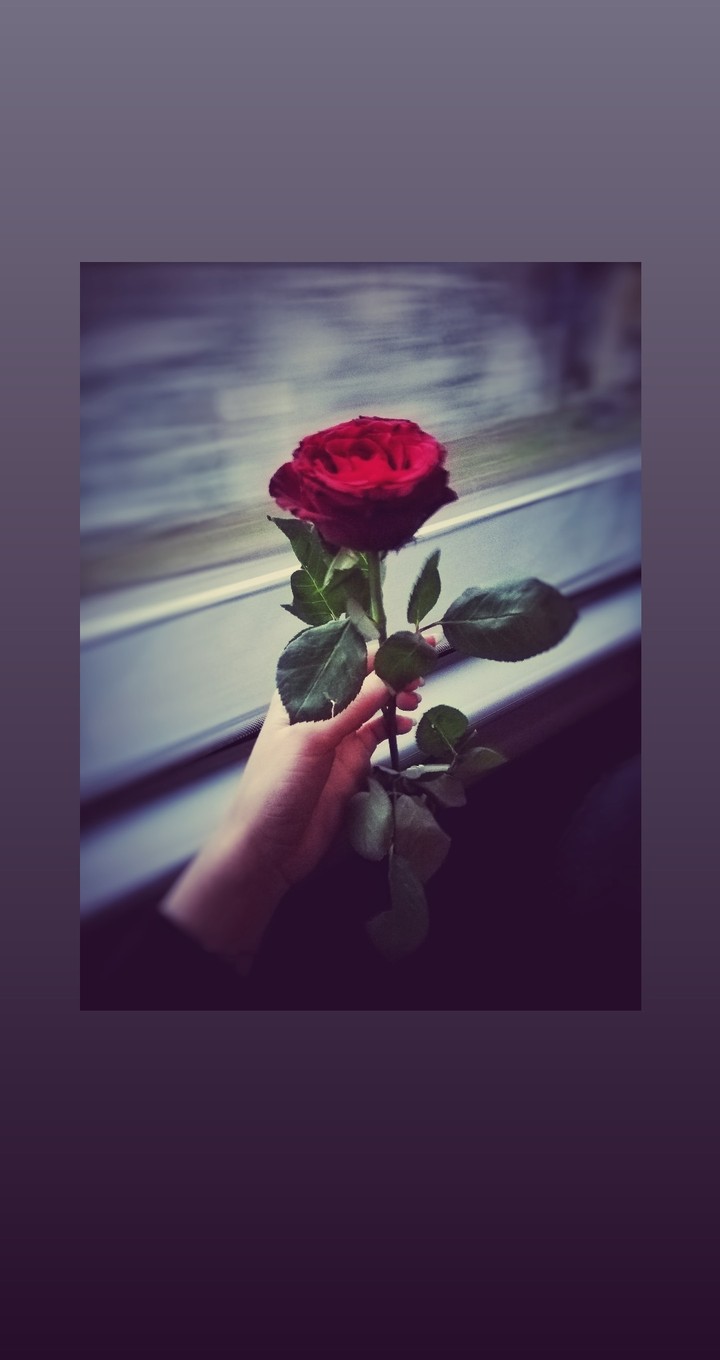 Valentine