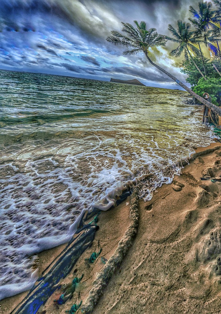 beach and sea