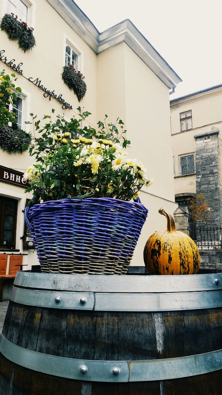Lviv