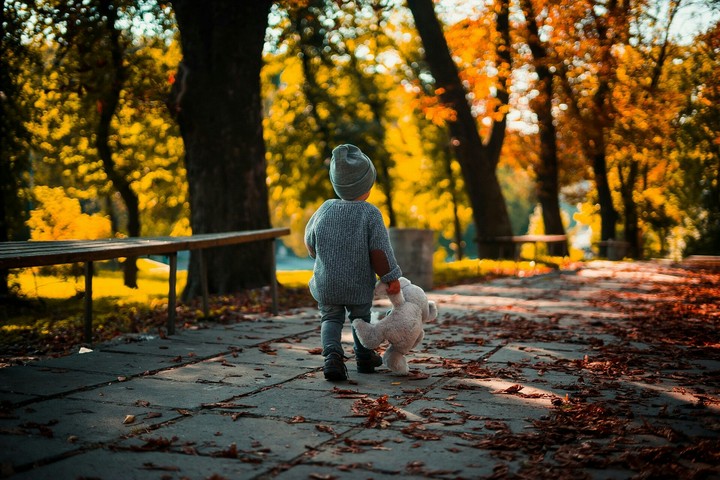 Boy in Forest