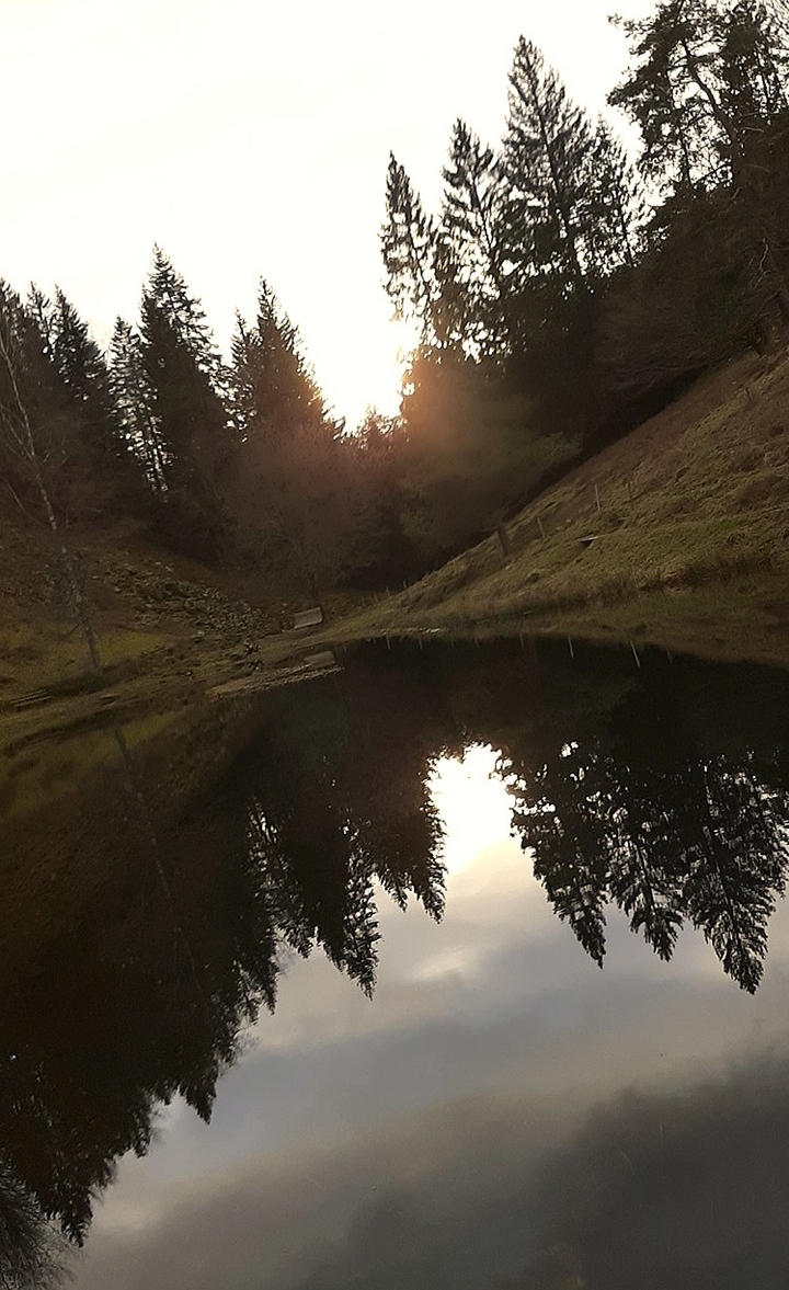Mountain lake