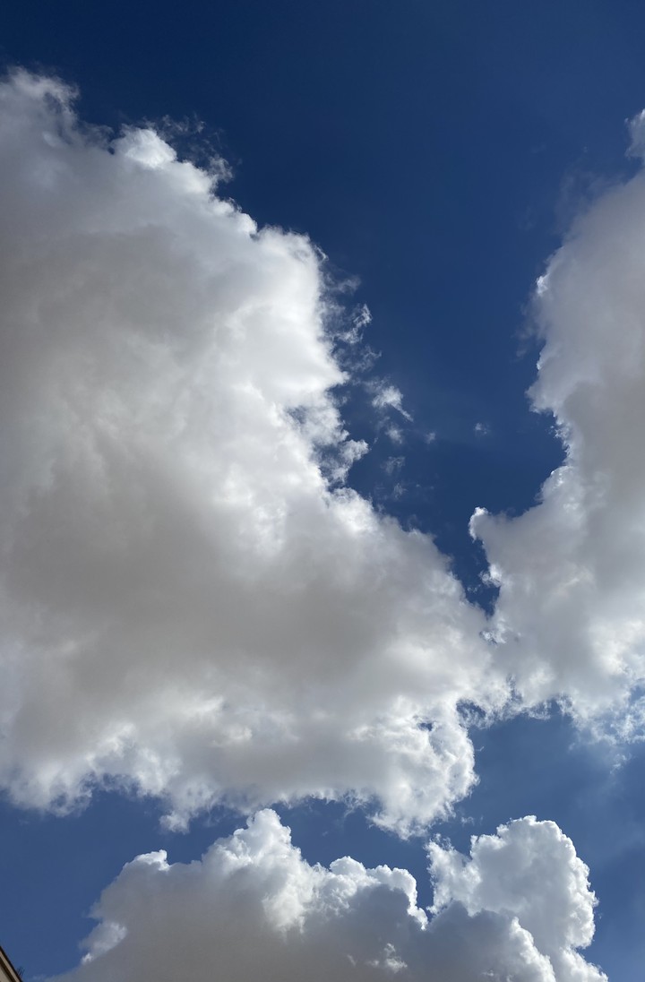 clouds swimming in the sky