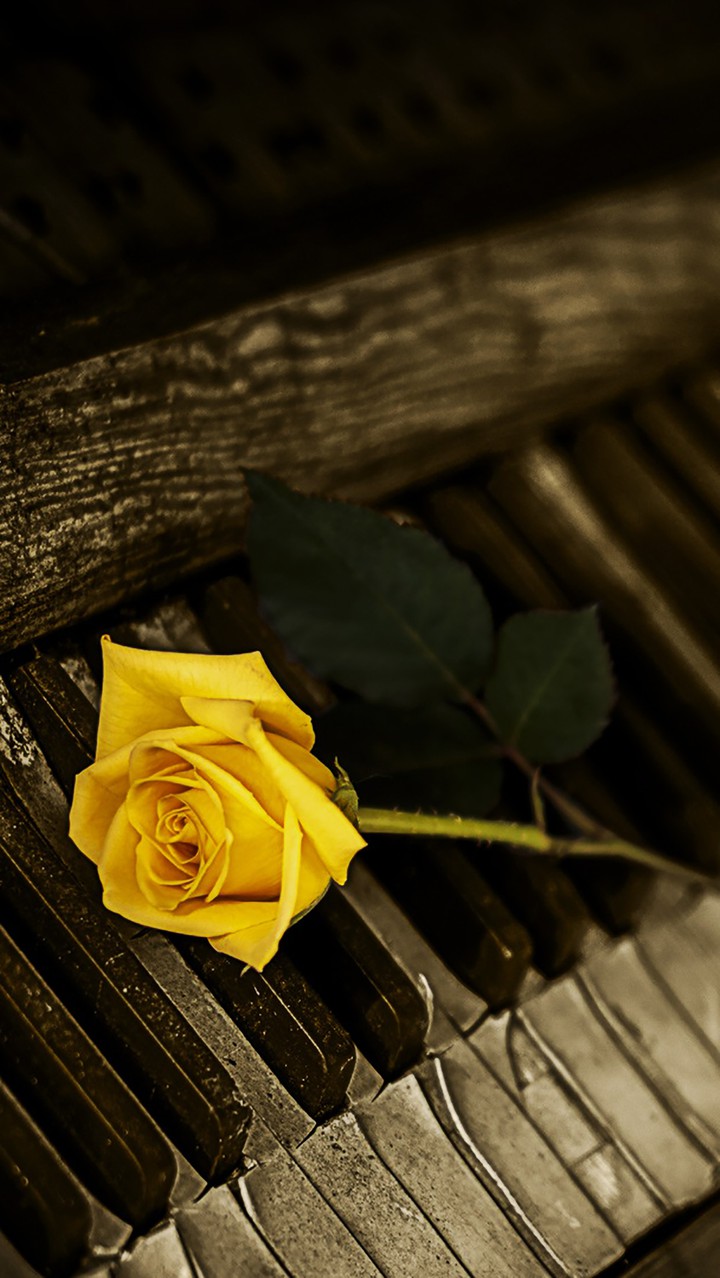♥