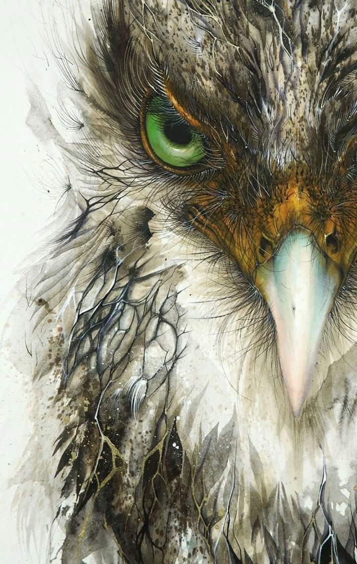 Eagle