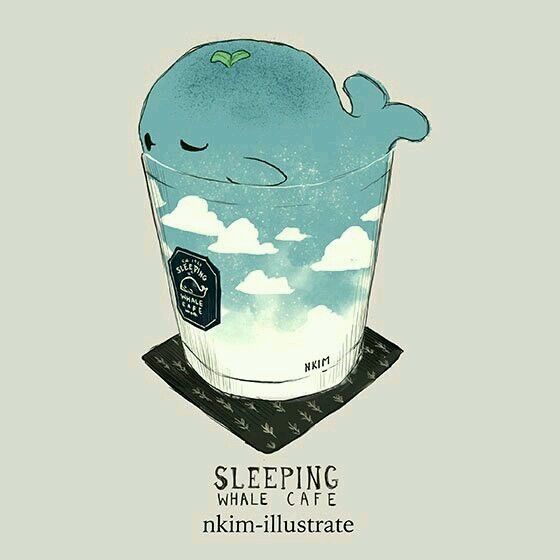 sleeping whale cafe