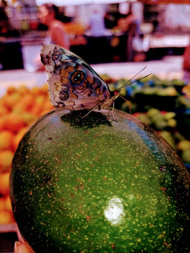 Natureza