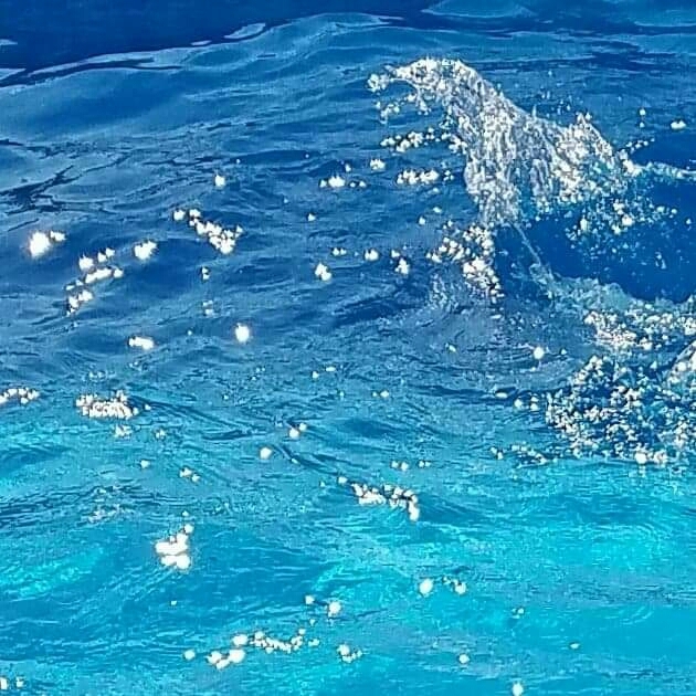 water splash