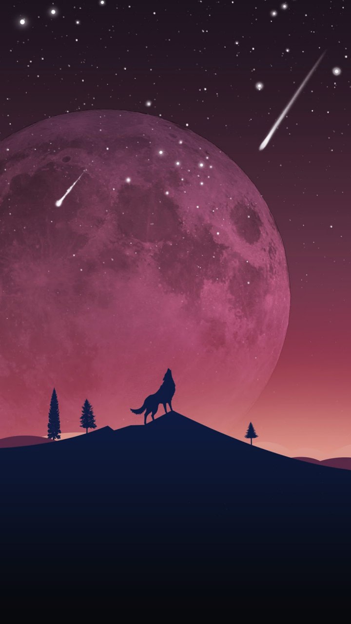 wolf