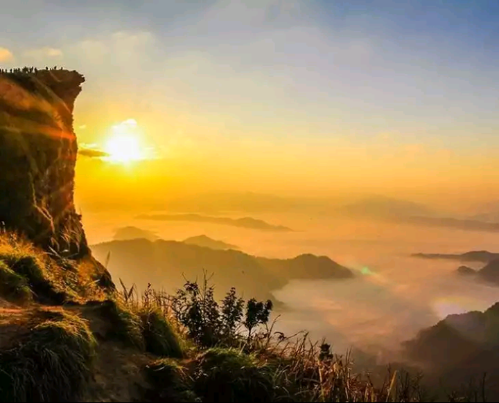 Nature