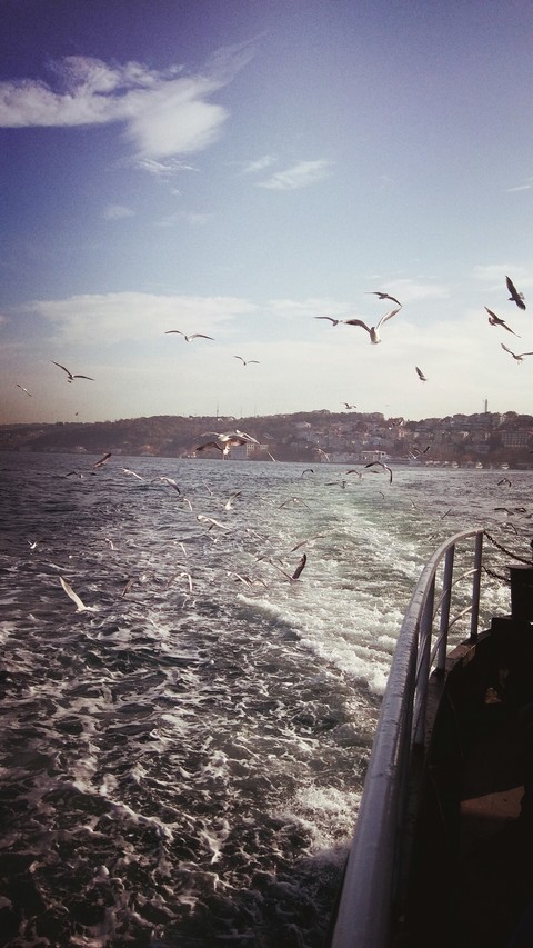 istanbulu dinliyorum