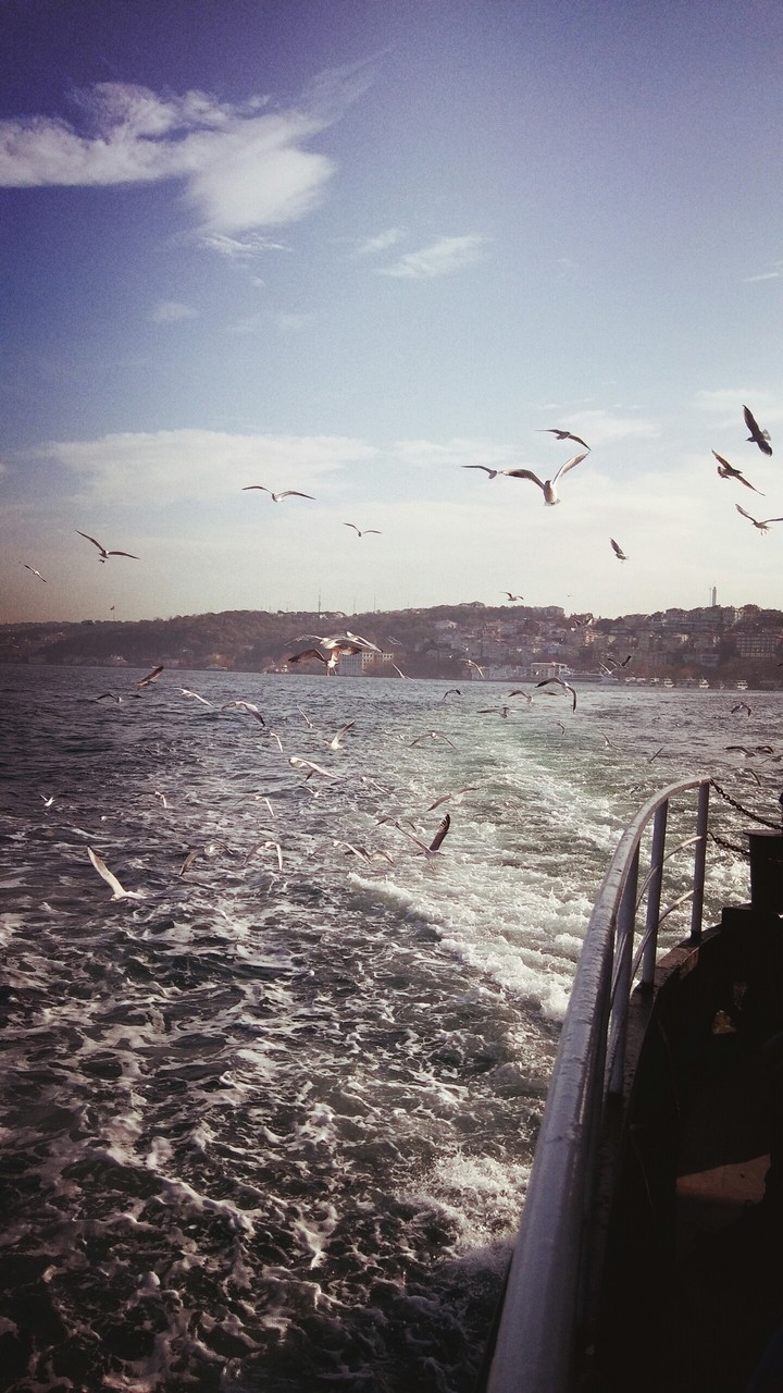 istanbulu dinliyorum