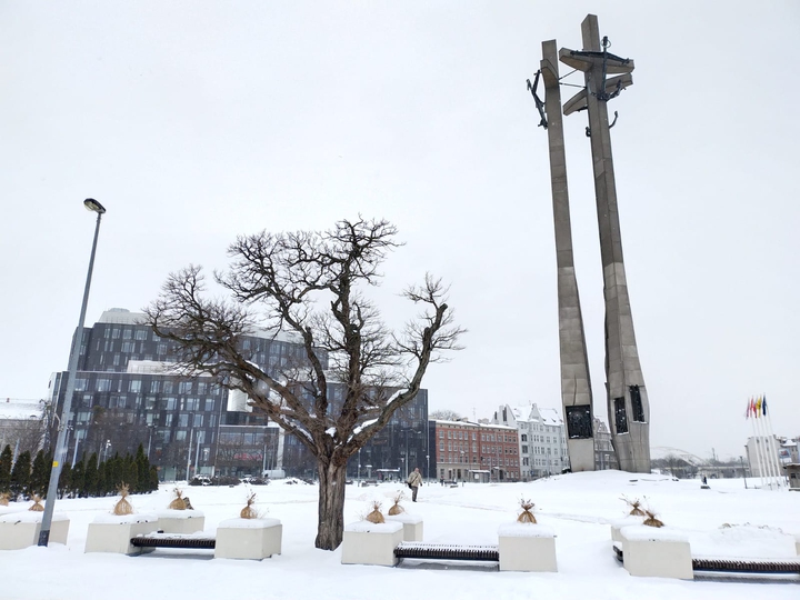 #poland