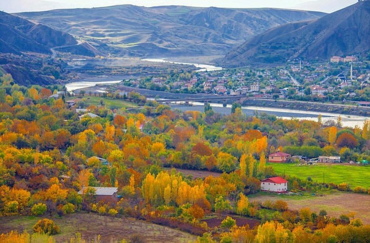 palu turkish