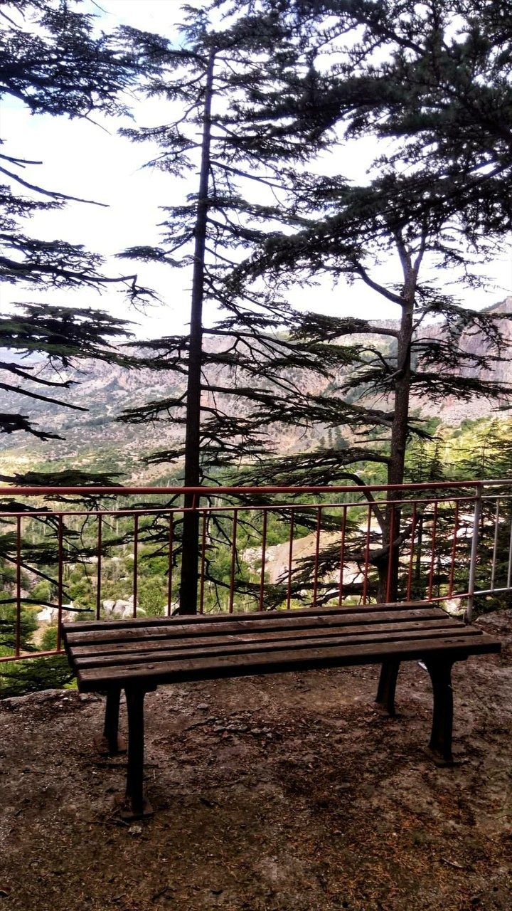 taşkent konya