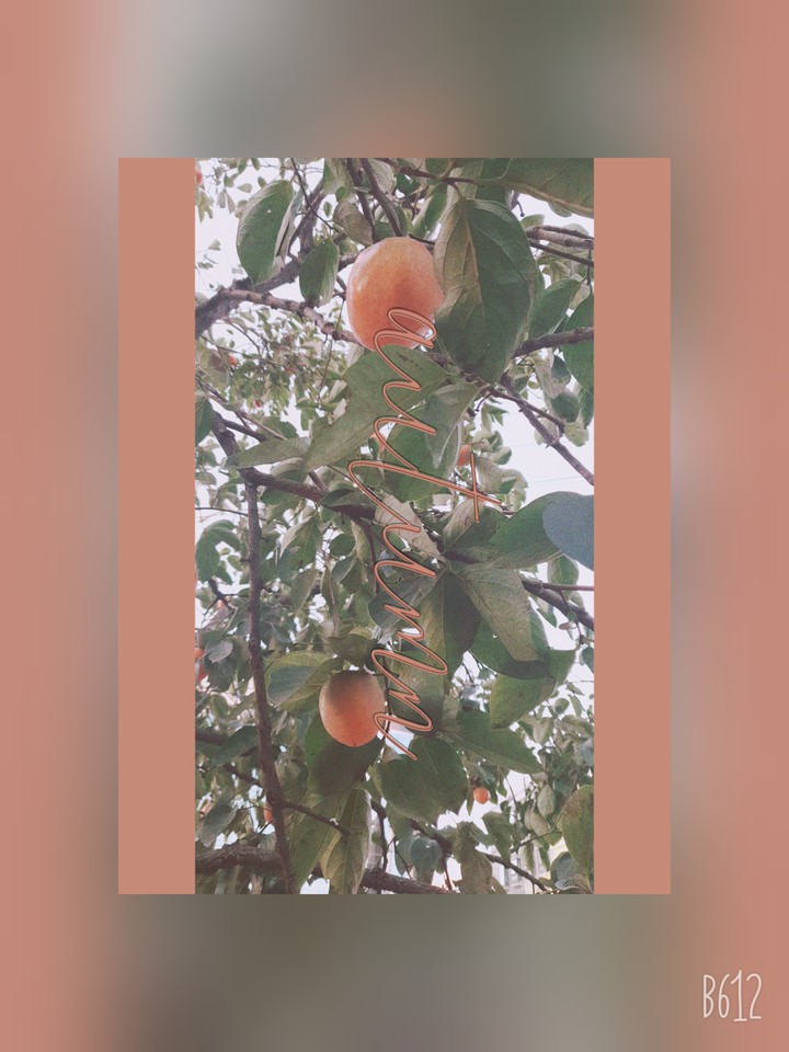 감