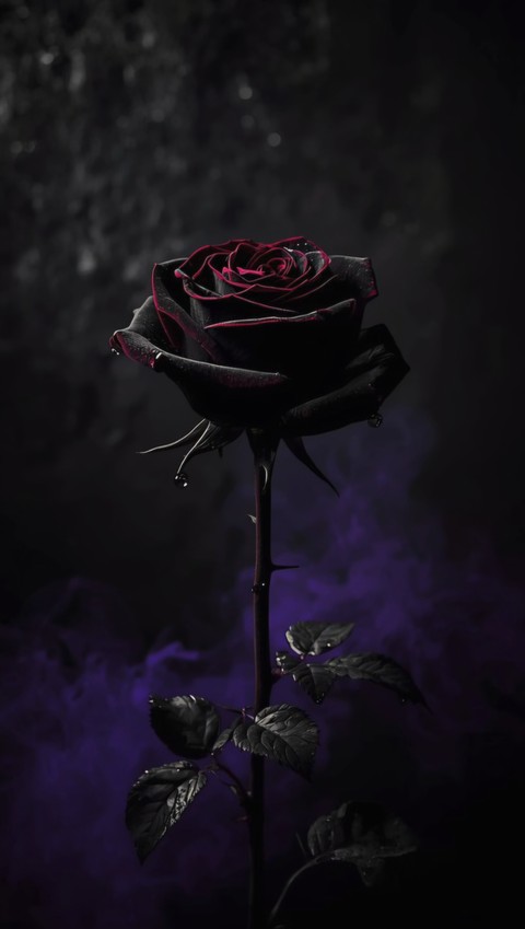 THE ROSE OF MYSTERY