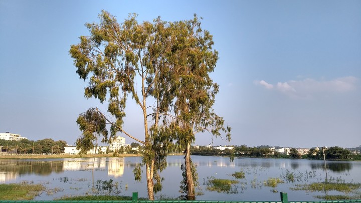 Bangalore