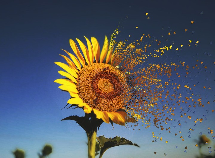 dispersion