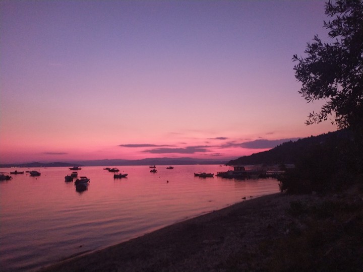 ~pink~