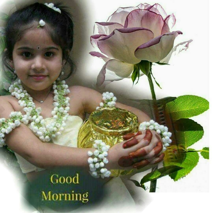 Good morning