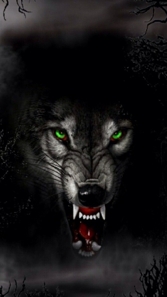 wolf