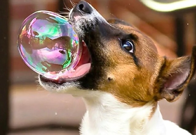 ,