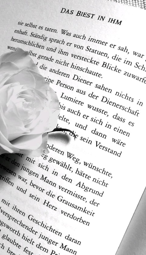 Rose and the book