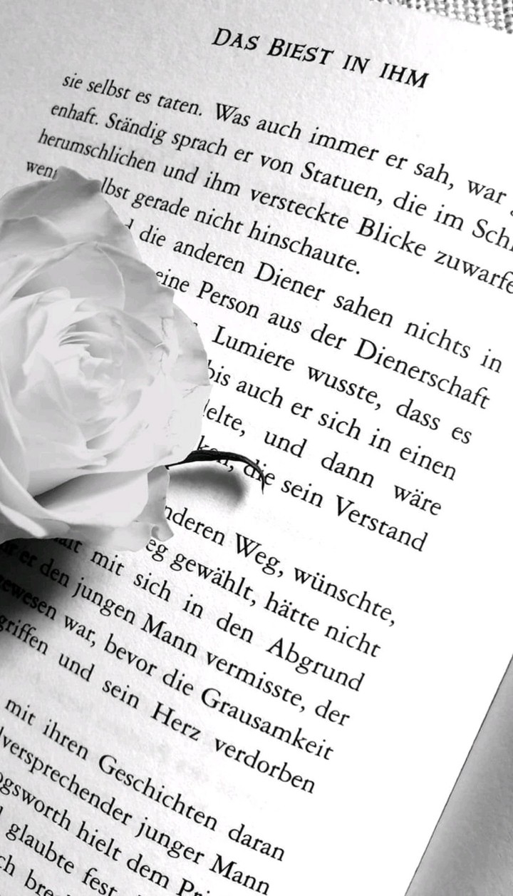 Rose and the book