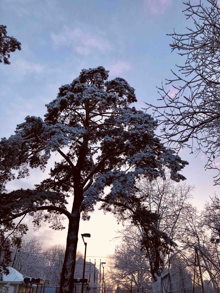 Winter