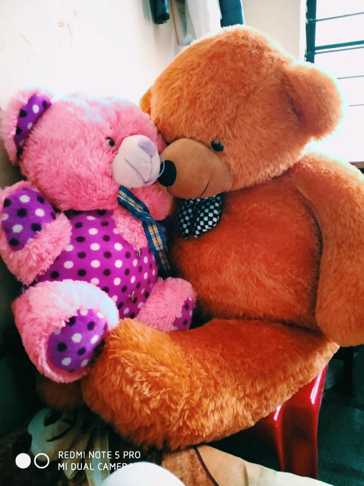 teddy bear