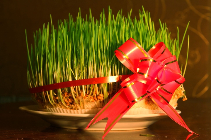 Novruz beauty on our teables