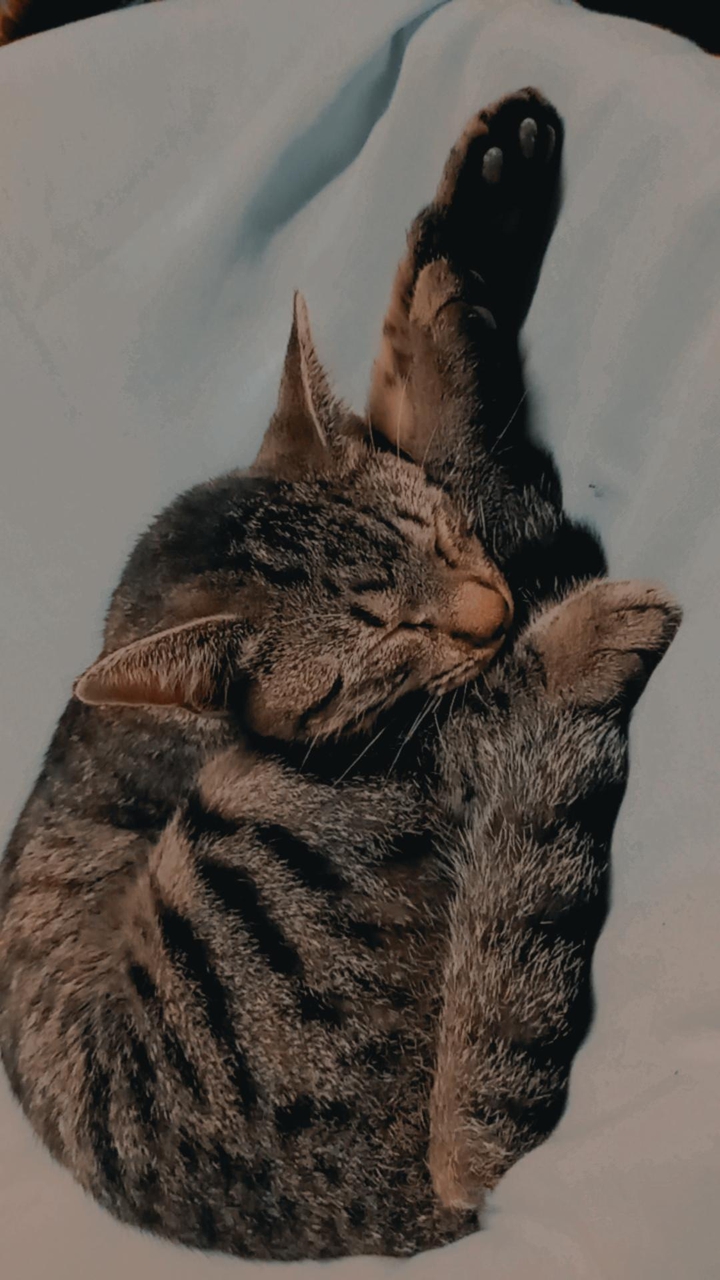 krn