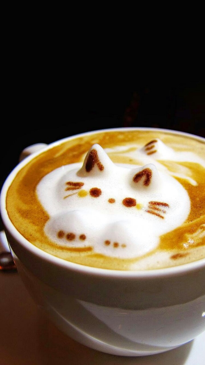 Котёнок