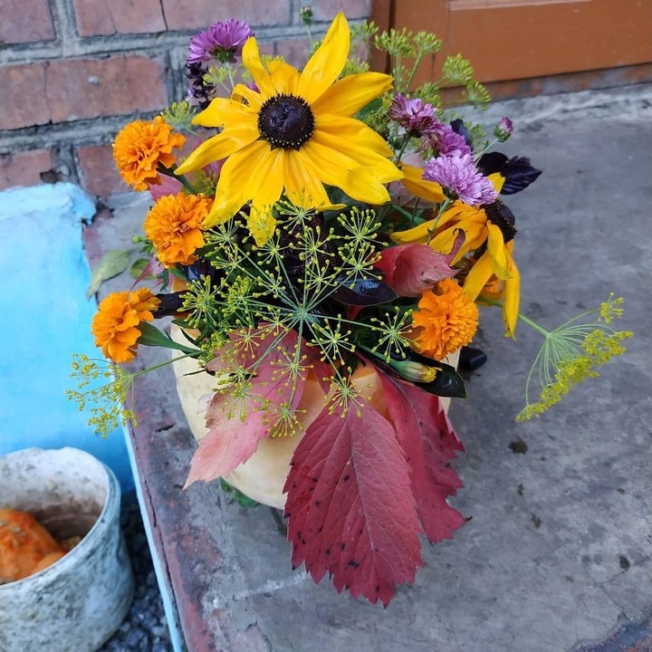 fall colours