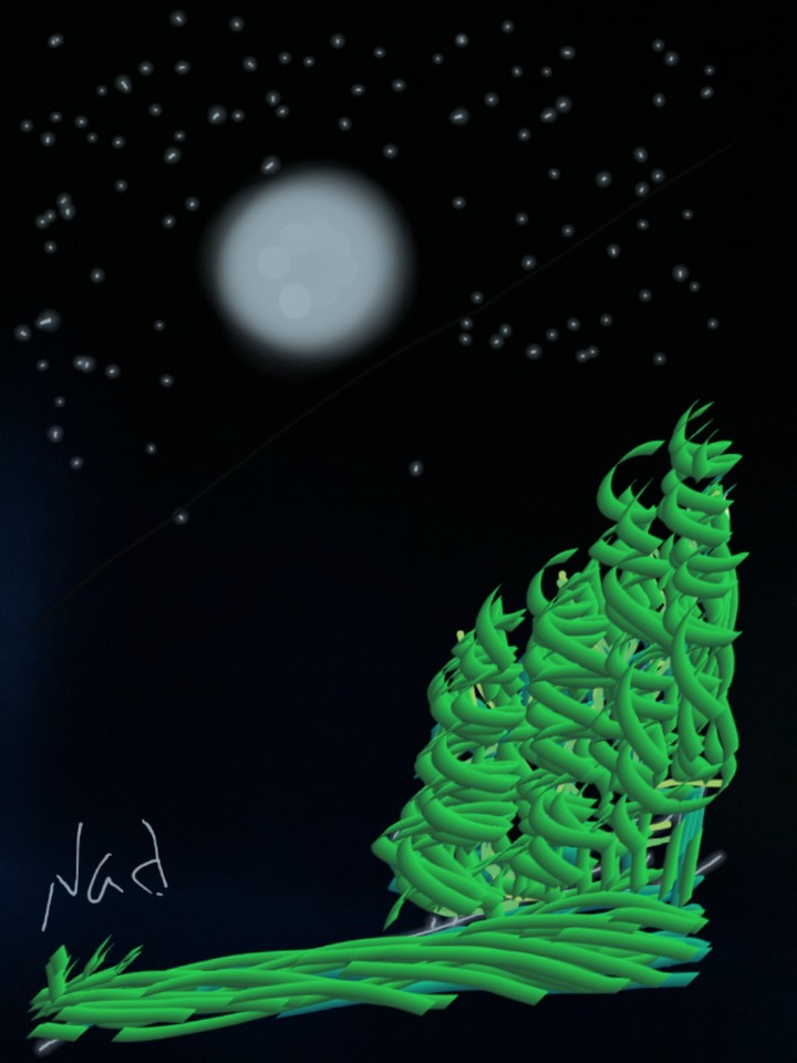 summer night