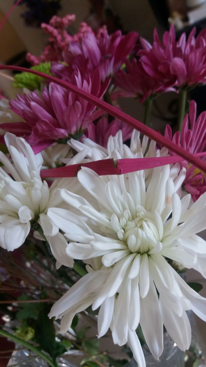 these are for you