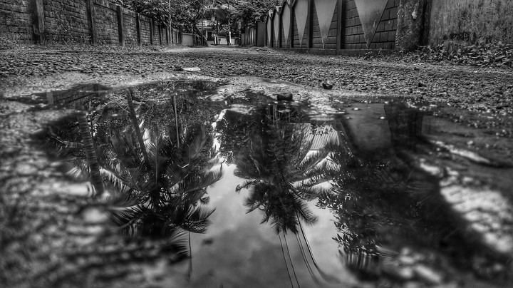 lonely street