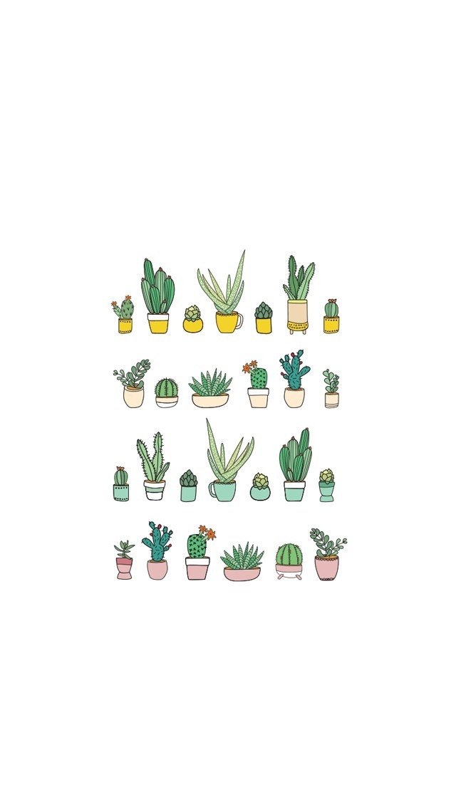 Cacti