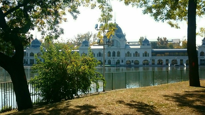 ARCHITECTURAL ELEGANCE